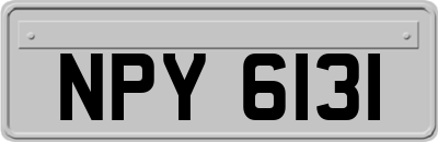 NPY6131