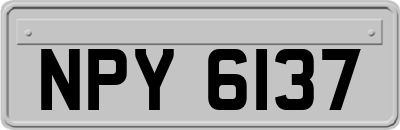 NPY6137