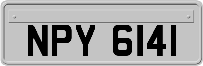 NPY6141