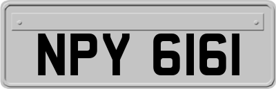 NPY6161