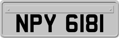 NPY6181