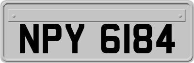 NPY6184