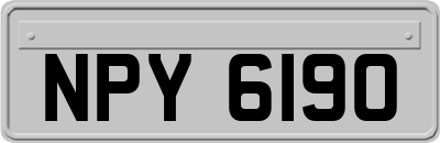 NPY6190