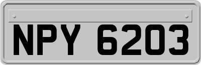 NPY6203