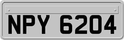 NPY6204