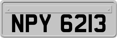 NPY6213