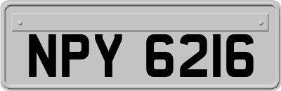 NPY6216