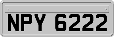 NPY6222