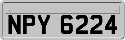 NPY6224