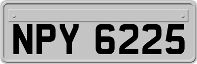 NPY6225