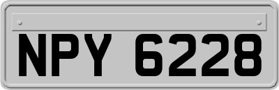 NPY6228