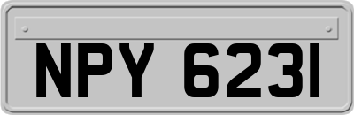 NPY6231