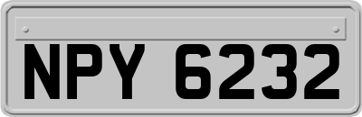 NPY6232