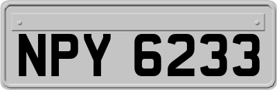 NPY6233