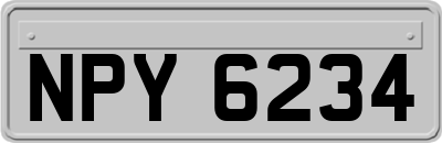 NPY6234