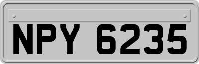 NPY6235