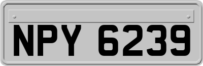 NPY6239
