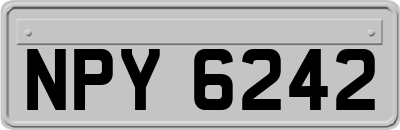 NPY6242