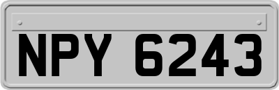 NPY6243