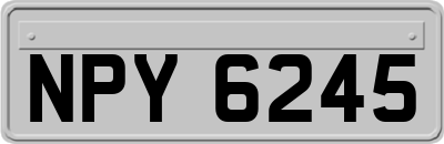NPY6245