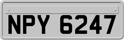 NPY6247