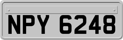NPY6248