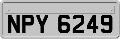 NPY6249