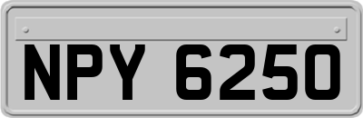 NPY6250