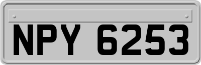 NPY6253