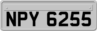 NPY6255