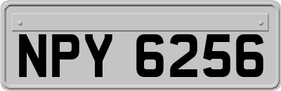 NPY6256