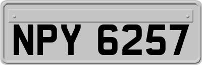 NPY6257