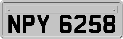 NPY6258