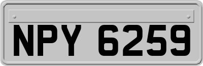 NPY6259