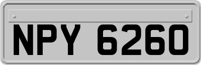 NPY6260
