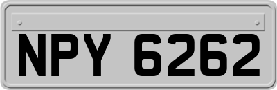 NPY6262