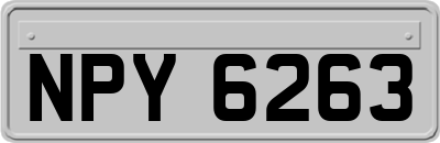 NPY6263