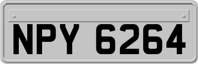NPY6264