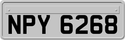 NPY6268