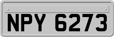 NPY6273