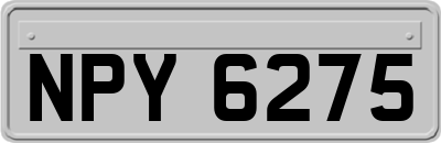 NPY6275