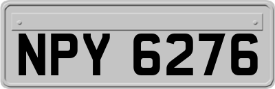 NPY6276