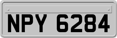 NPY6284