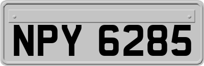 NPY6285