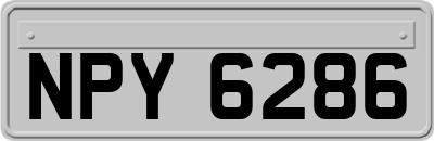 NPY6286