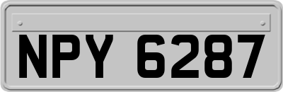 NPY6287