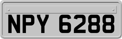 NPY6288