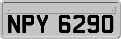 NPY6290