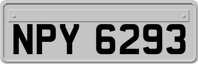NPY6293
