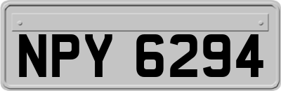 NPY6294